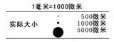 噴嘴原理(圖13)